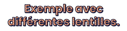 différentes lentilles